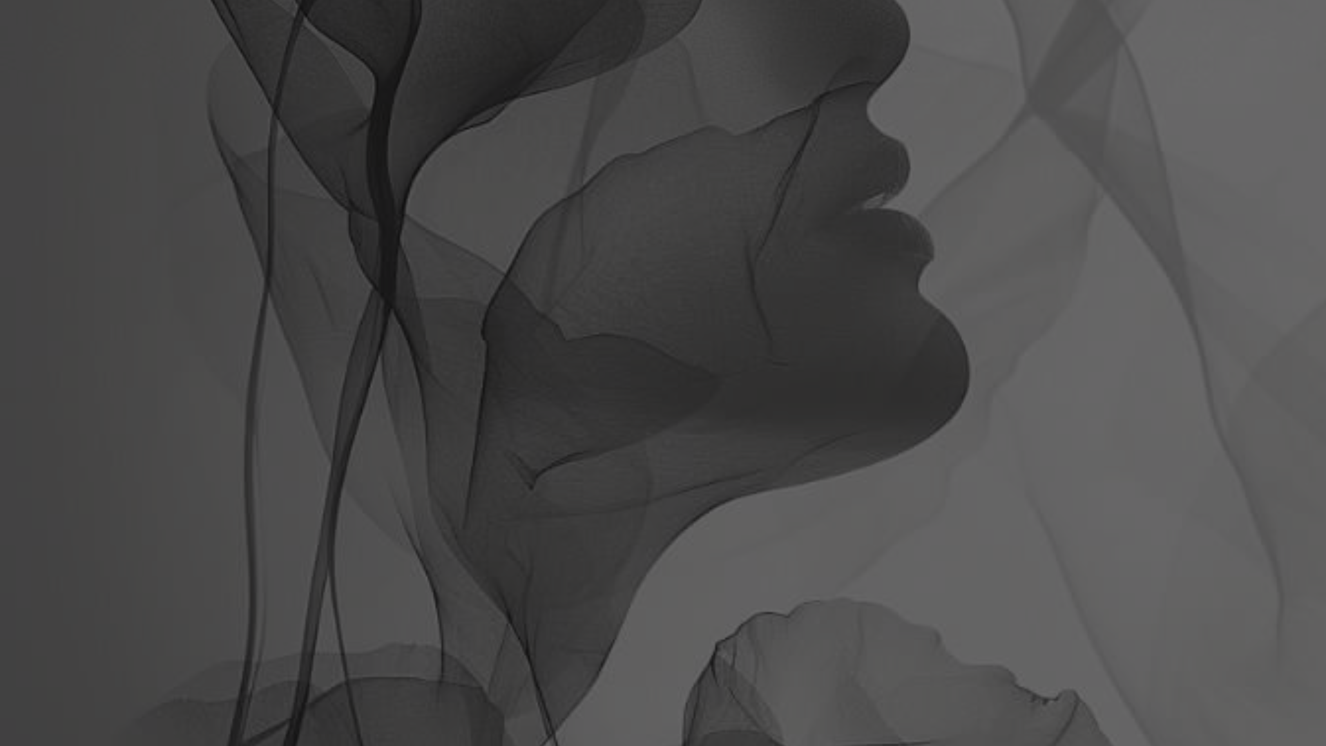 Abstract black and white shapes on a gray background